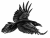 Life road-The raven/Regressie coach