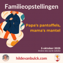 HILDE VAN BULCK - Samtati bv