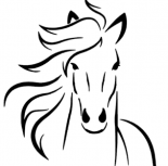 SoulHorses