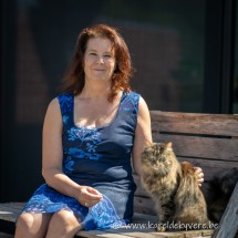 Lifecoachkatrien