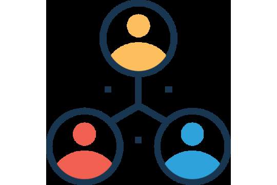 coaching opleiding