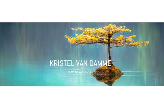 emotional freedom technique (EFT)