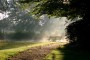 communicatietraining