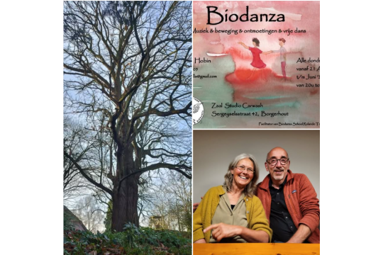 Biodanza