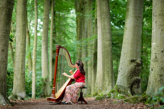 muziek