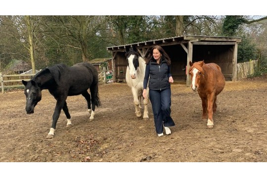 paardencoaching