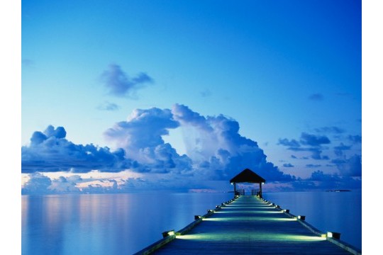 mindfulness training
