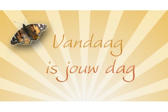 bewustzijn