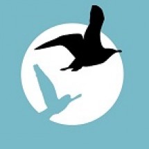 Healing Praktijk Annick Schuerman