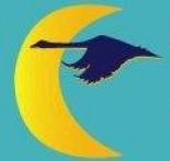 De Gulden Snede, studie- en opleidingscentrum voor droomanalyse, familieopstellingen en natuurbeleving